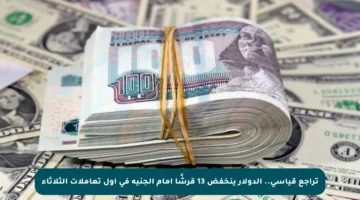 تراجع قياسي.. الدولار ينخفض 13 قرشًا أمام الجنيه في أول تعاملات الثلاثاء